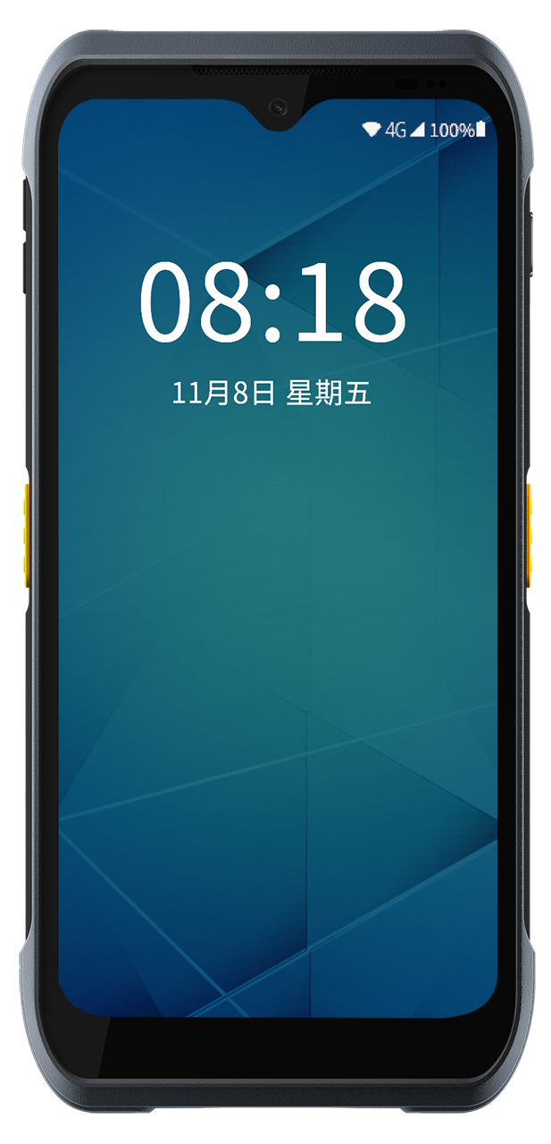 T2